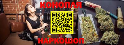 прущие грибы Обь