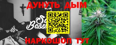 прущие грибы Обь