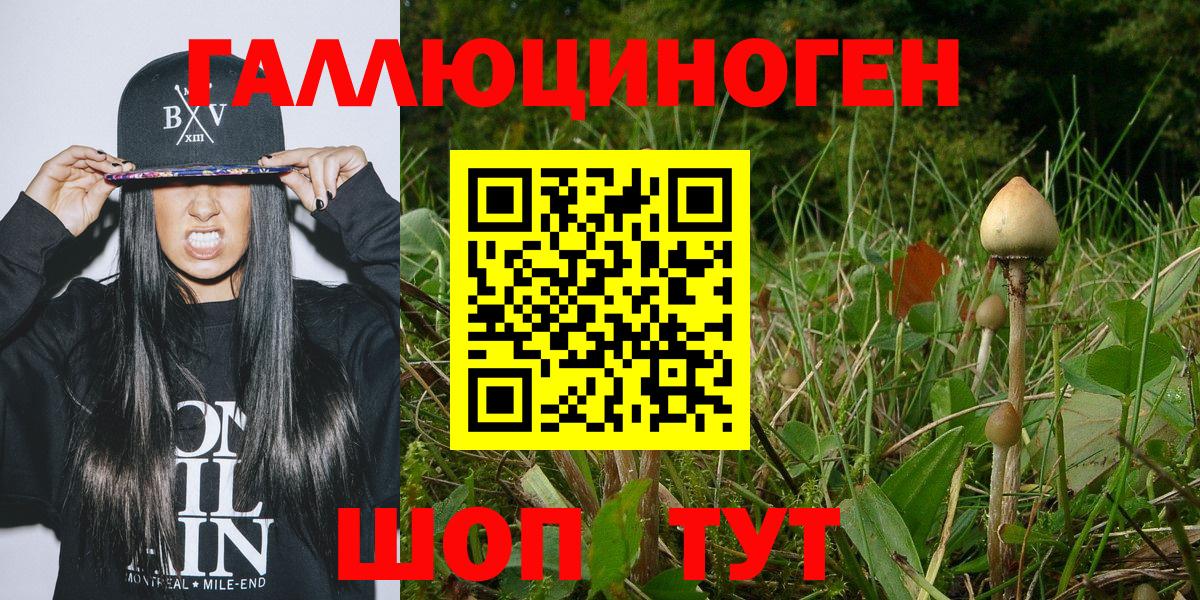 Сызрань  Галлюциногенные грибы прущие грибы  Вход с VPN 